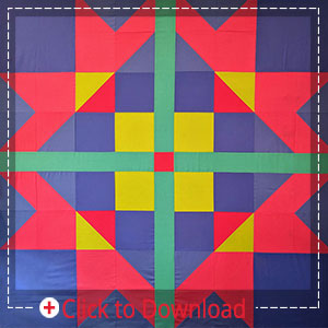 Longarm Quilt - Janome Artistic Digitizer
