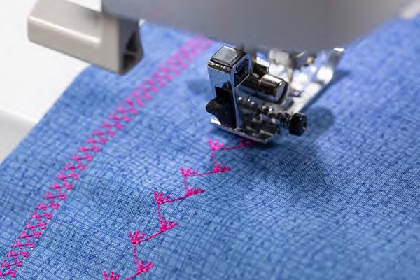 Points de couture décoratifs de la Brother Innovis F580