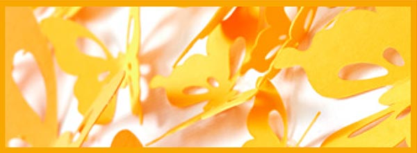 Illustration ScanNCut SDX 900