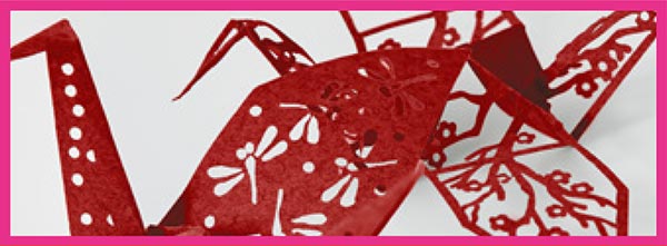 Illustration ScanNCut SDX 900