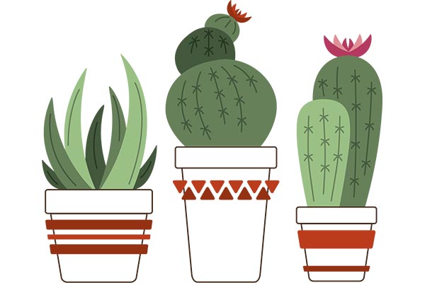 Broderie trois cactus - 70 ans Stecker