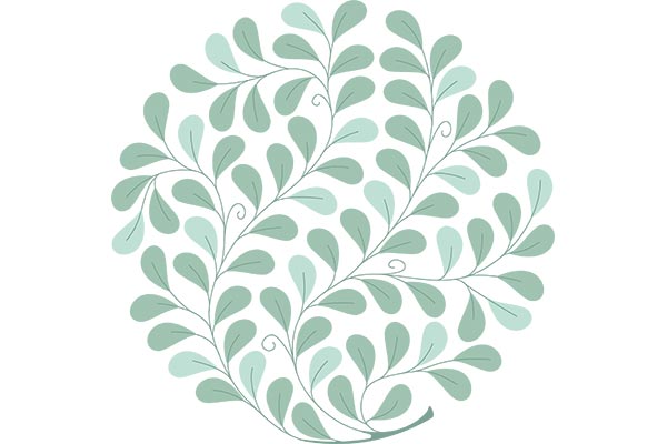 Broderie vignes - 70 ans Stecker