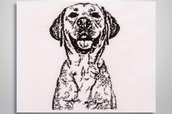 Fonction Sketch du logiciel de broderie Artistic Digitizer 2.0