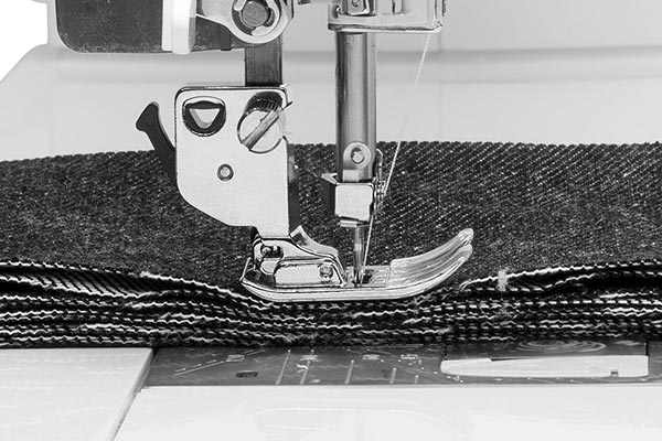 Vitesse et Puissance de la Janome Continental M8
