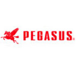 Brand PEGASUS