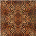 Vinyle 21,5 x 30,5cm léopard fauve