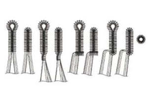 Boutonnières de la Siruba BH-9820-00