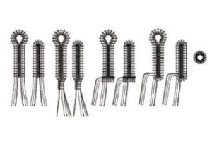 Boutonnières de la Siruba BH-9820-01