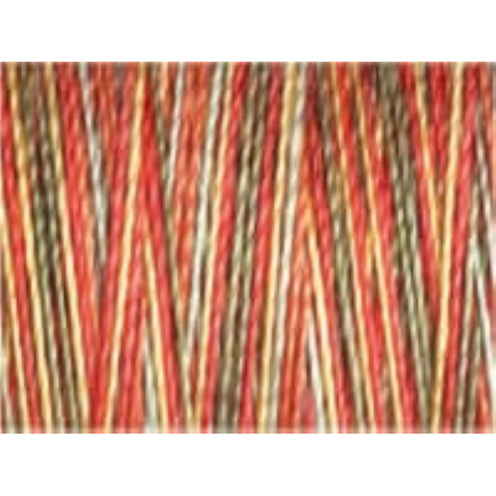 Fil Coton, quilting N°30 300m 4121 Fil Coton, quilting N°30 300m 4121