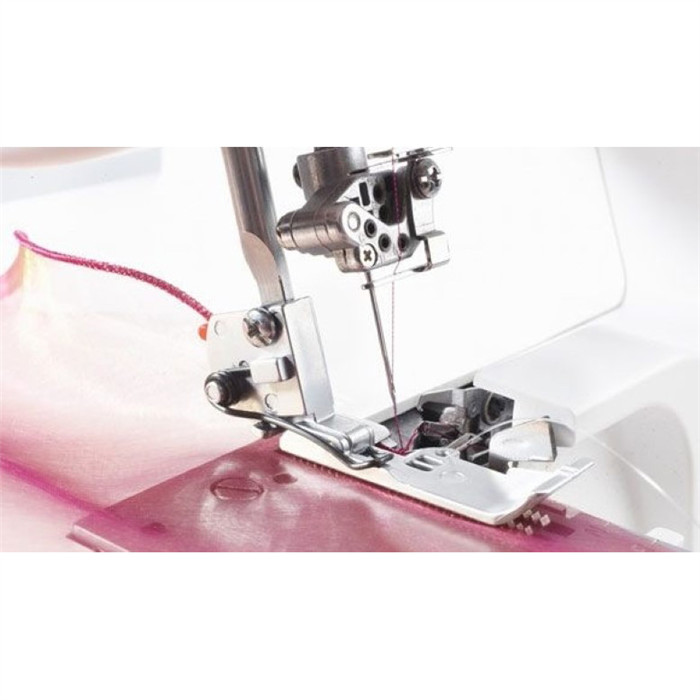 Pied cordonnet, ganseur ou fil grimpeur Pied cordonnet, ganseur ou fil grimpeur